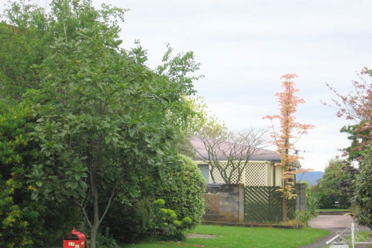 Photo of property in 17 Hanna Street, Te Aroha, 3320