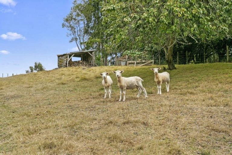 Photo of property in 1377 Arapuni Road, Arapuni, Putaruru, 3481