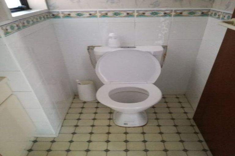 Photo of property in 32 Salisbury Street, Levin, 5510