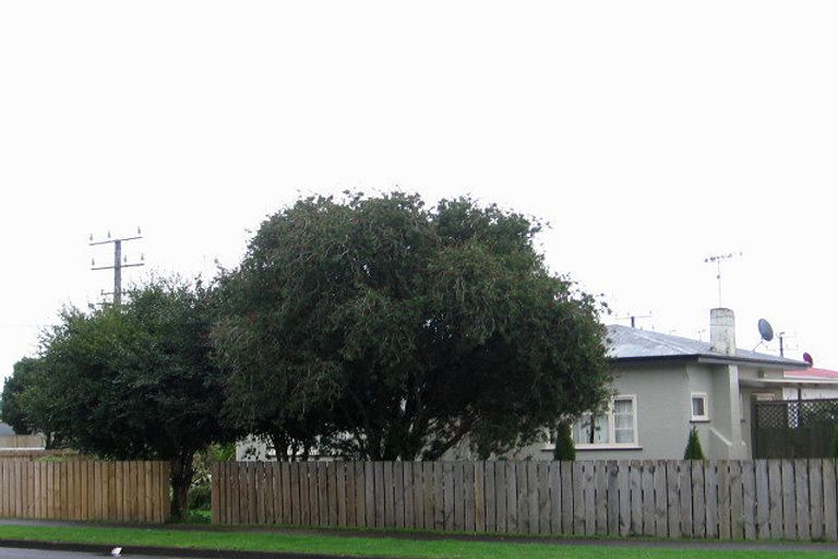 Photo of property in 44 Mckenzie Street, Levin, 5510