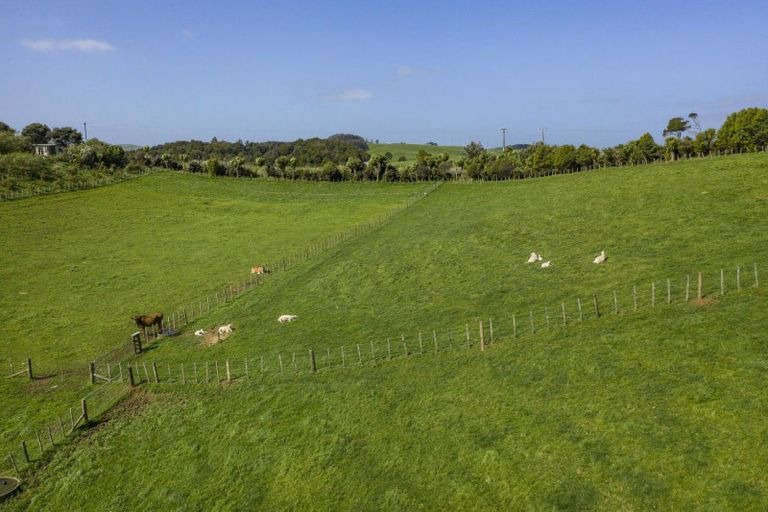 Photo of property in 352 Te Papatapu Road, Raglan, Te Mata, 3894