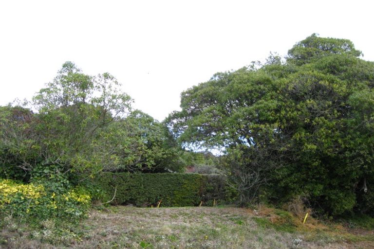 Photo of property in 10 Haven Street, Moeraki, 9482