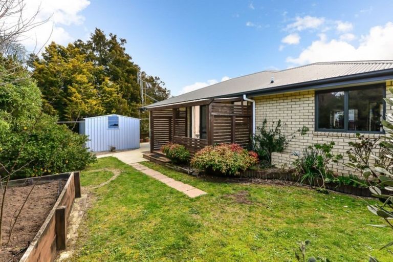 Photo of property in 19 Goodall Street, Dinsdale, Hamilton, 3204