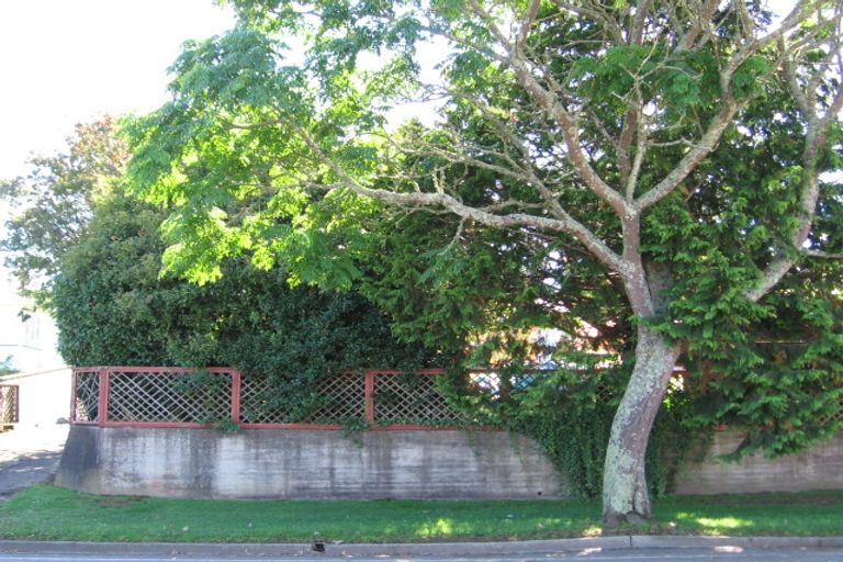 Photo of property in 119 Arapuni Street, Putaruru, 3411