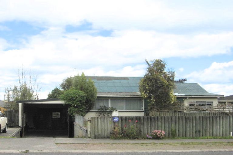 Photo of property in 171 Tamamutu Street, Taupo, 3330