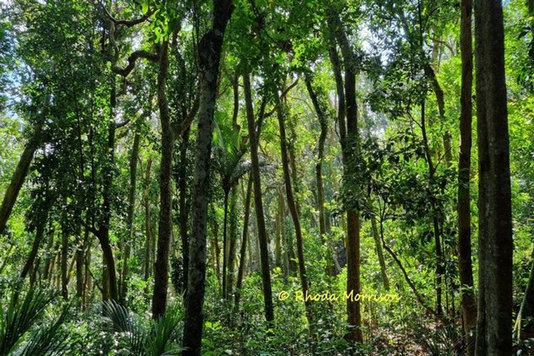 Photo of property in 47 Andrae Lane, Maungaturoto, 0587