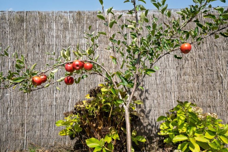 Photo of property in 3d Alpers Ridge, Leamington, Cambridge, 3432