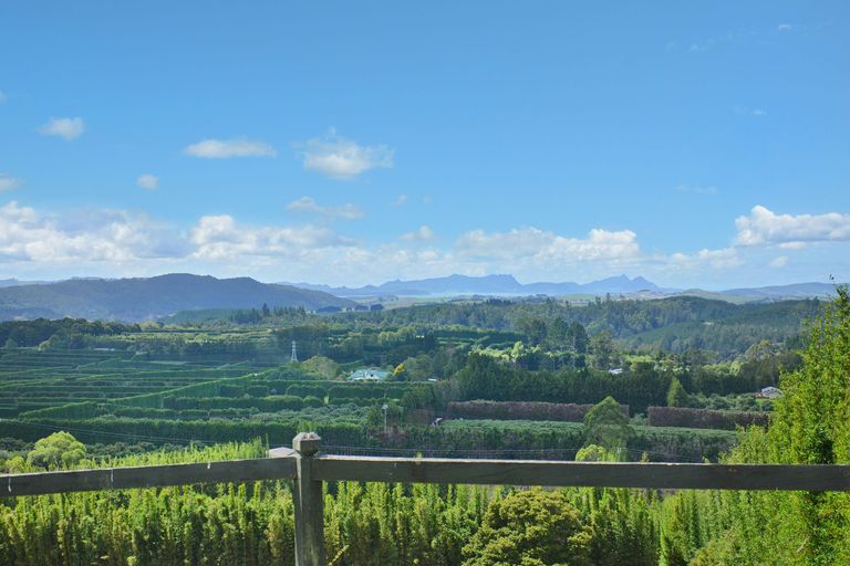 Photo of property in 43 Charles Walton Road, Maungatapere, Whangarei, 0179