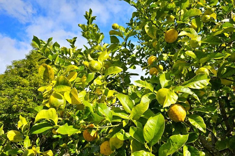 Photo of property in 3615 Horeke Road, Taheke, Kaikohe, 0473