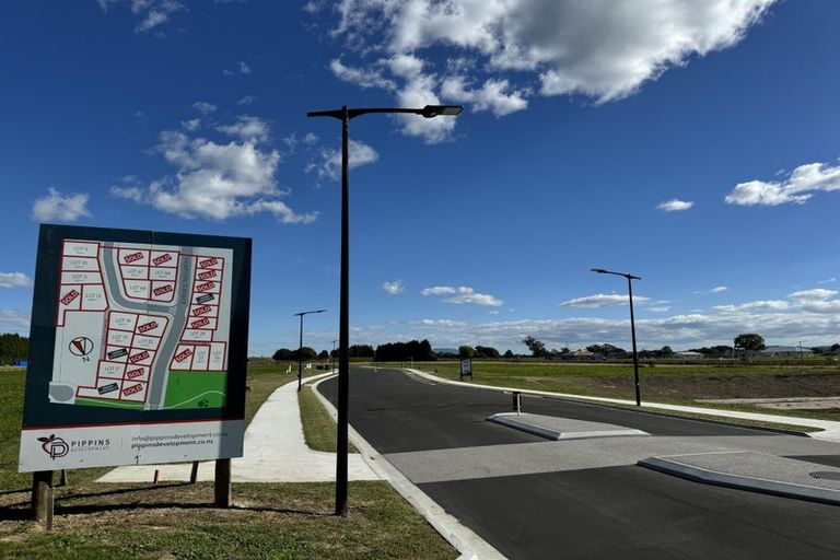 Photo of property in 50 Hampton Terrace, Parkvale, Tauranga, 3112