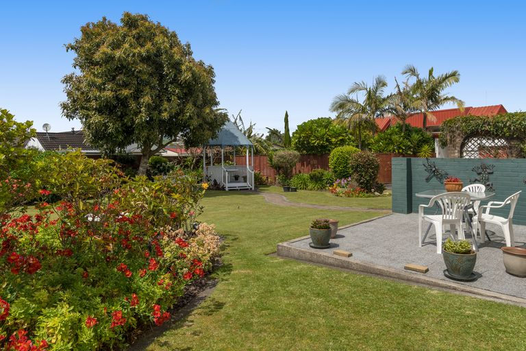 Photo of property in 41 Maihi Crescent, Maungatapu, Tauranga, 3112