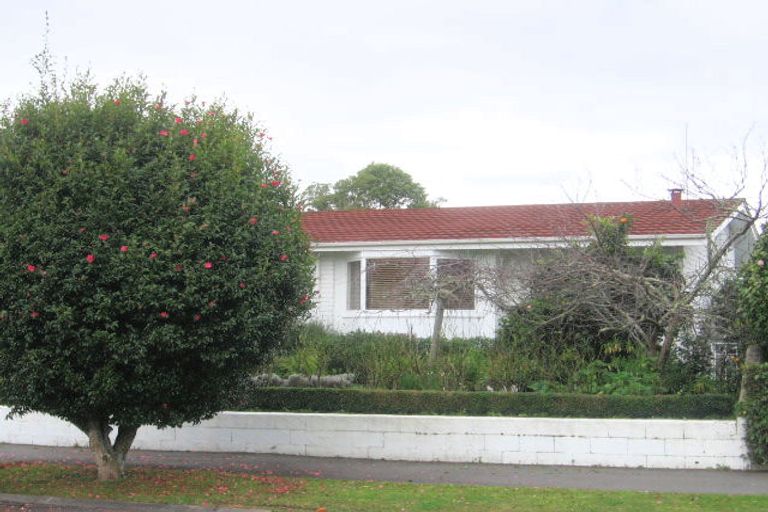 Photo of property in 15 Pollock Drive, Chartwell, Hamilton, 3210