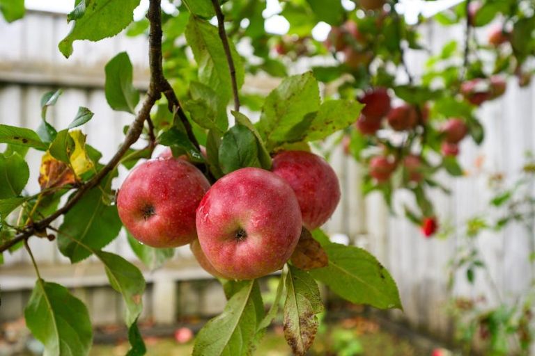 Photo of property in 5 Oakeley Rise, Feilding, 4702