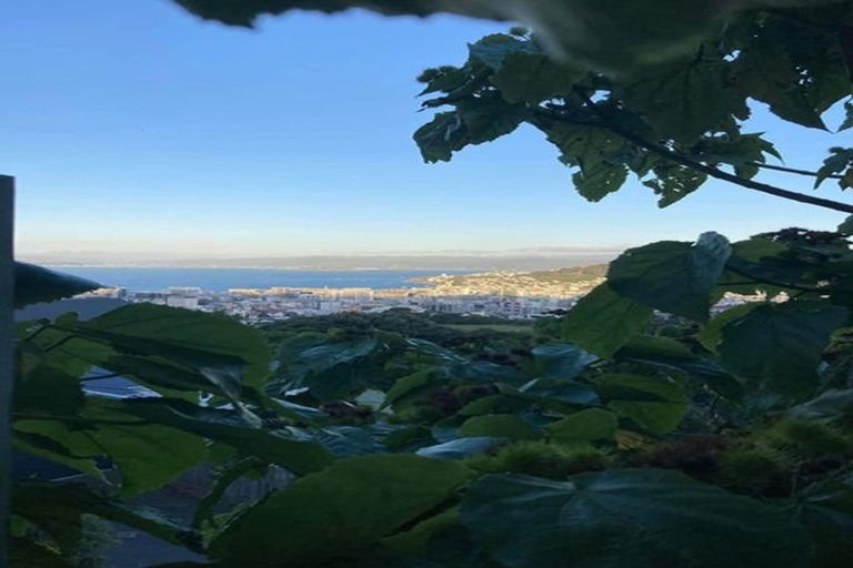 Photo of property in 88 Mortimer Terrace, Brooklyn, Wellington, 6021