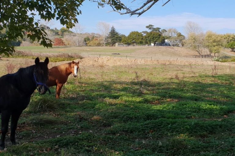 Photo of property in 19 Clemett Road, Te Akau, Ngaruawahia, 3793