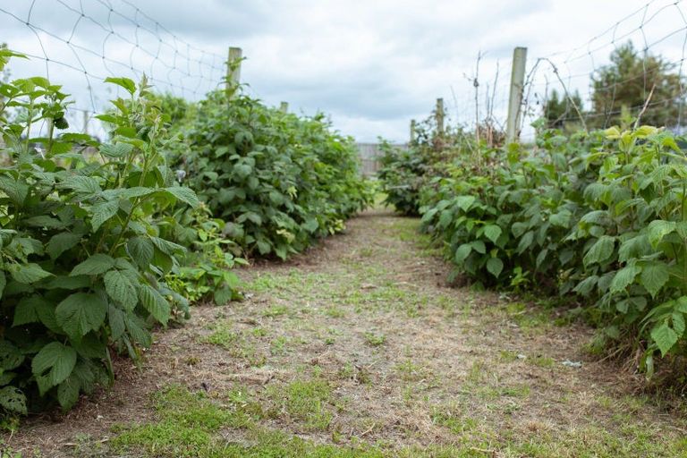 Photo of property in 3 Murdoch Place, Mayfield, Ashburton, 7778