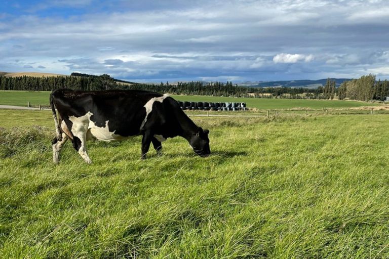 Photo of property in 450 Mcdonald Road, Dipton West, Dipton, 9791