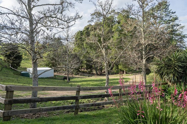 Photo of property in 307 Whananaki North Road, Opuawhanga, Hikurangi, 0181