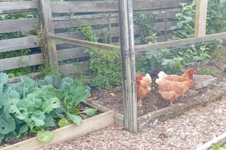 Photo of property in 193 Scott Street, Kingswell, Invercargill, 9812