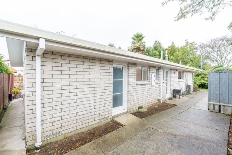 Photo of property in 117b Clarkin Road, Fairfield, Hamilton, 3214