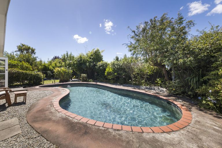 Photo of property in 50 Windsor Street, Terrace End, Palmerston North, 4410