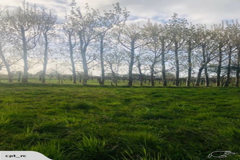 Photo of property in 8 Maggie Place, Te Kauwhata, 3710