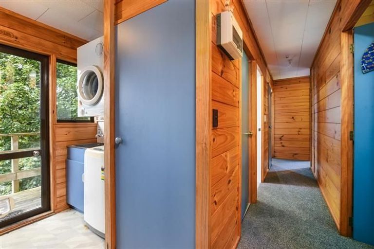 Photo of property in 53 Buccleugh Street, North East Valley, Dunedin, 9010