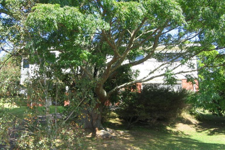 Photo of property in 20 Lingham Crescent, Torbay, Auckland, 0630