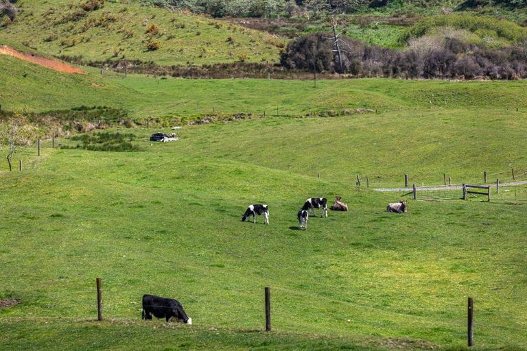 Photo of property in 231 Hart Road, Pukekohe, 2676