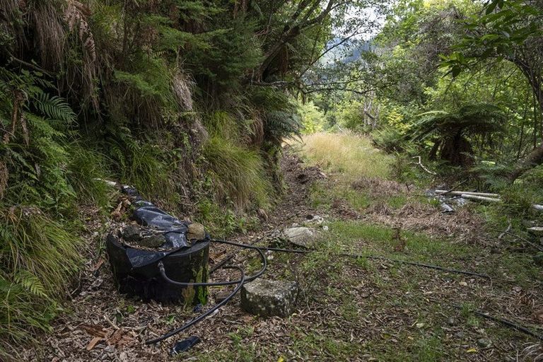 Photo of property in 144 Graham Valley North Branch Road, Motueka Valley, Motueka, 7196