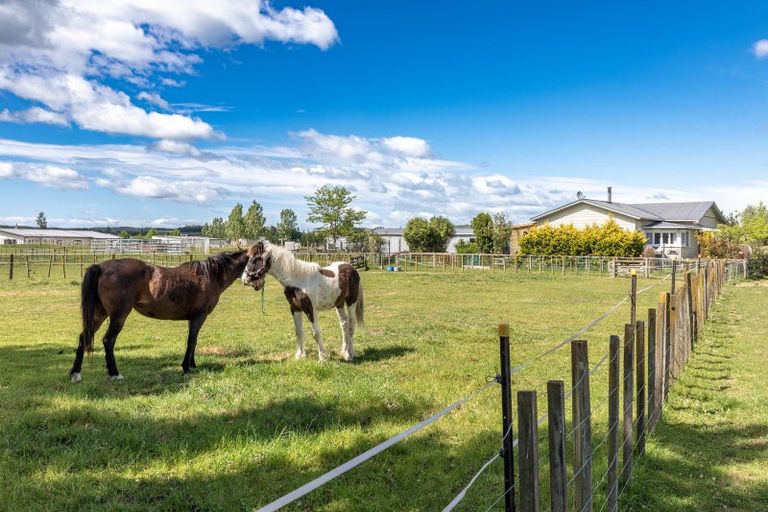 Photo of property in 471 Porangahau Road, Waipukurau, 4282