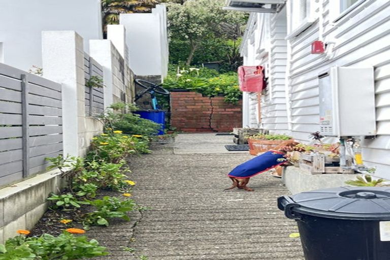 Photo of property in 5/20 Hay Street, Oriental Bay, Wellington, 6011