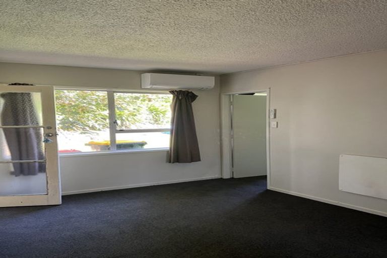 Photo of property in 56 Memorial Drive, Hamilton East, Hamilton, 3216