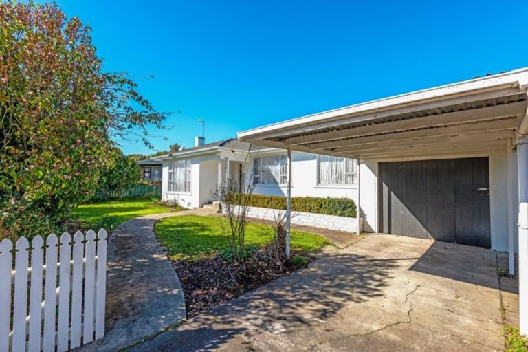 Photo of property in 63 Miro Street, Takaro, Palmerston North, 4410