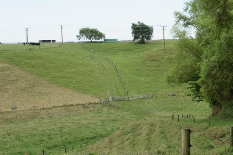 Photo of property in 81 Lindsay Road, Levin, 5510