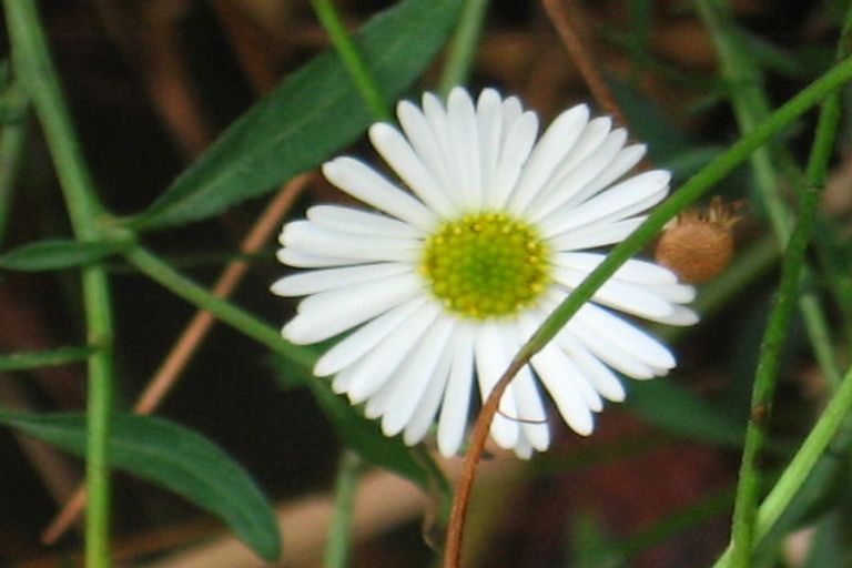 Photo of property in 7 Kamla Way, Khandallah, Wellington, 6035