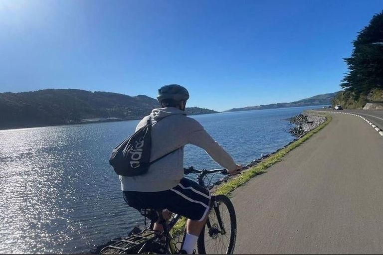 Photo of property in 492 Portobello Road, Macandrew Bay, Dunedin, 9014