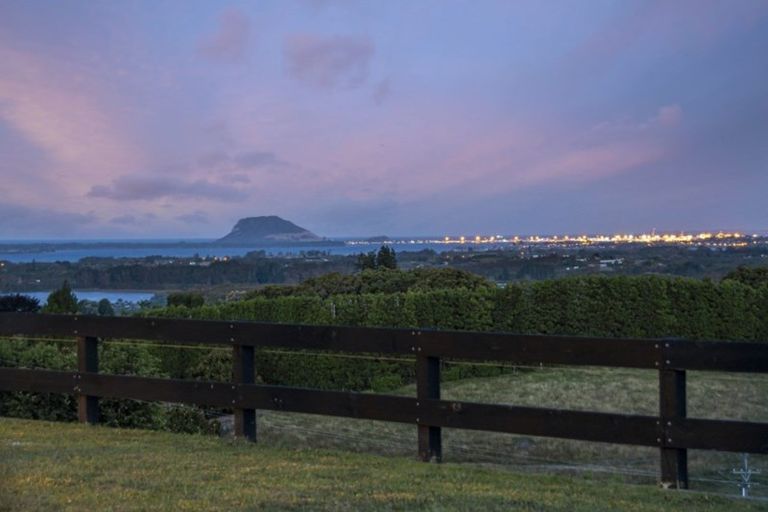 Photo of property in 198 Whakamarama Road, Whakamarama, Tauranga, 3179