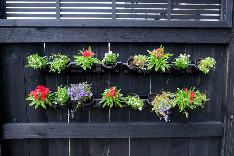 Photo of property in 10 Raranga Lane, Hobsonville, Auckland, 0616