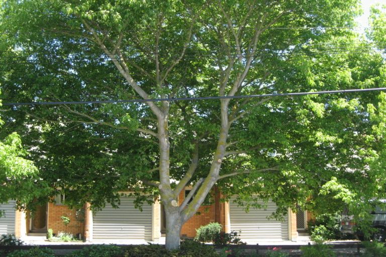 Photo of property in 2/59 Vogel Street, Richmond, Christchurch, 8013