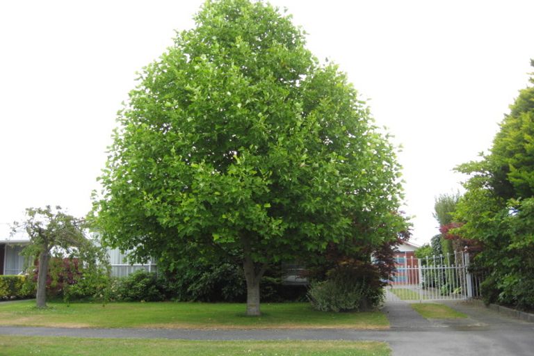 Photo of property in 17 Waratah Street, Avondale, Christchurch, 8061