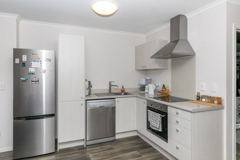 Photo of property in 19 Chiefs Court, Hamilton East, Hamilton, 3216