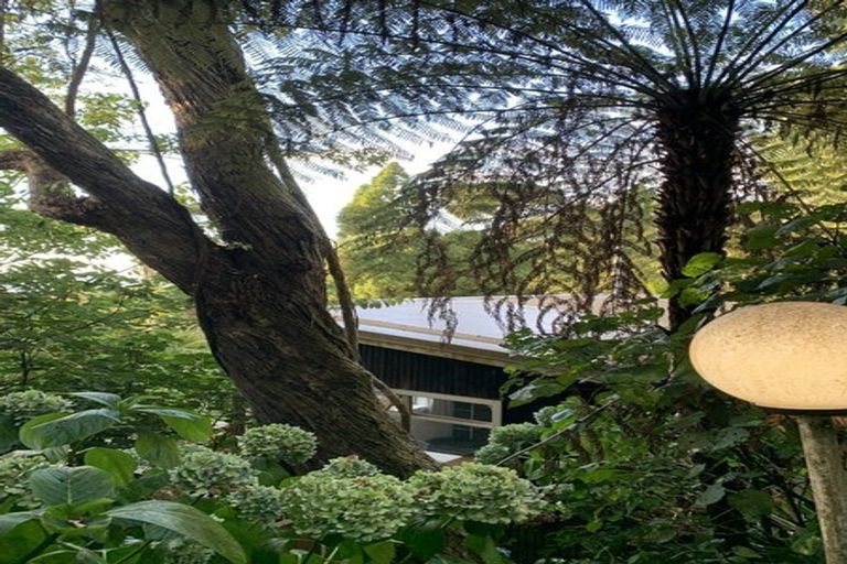 Photo of property in 45 Takahe Road, Titirangi, Auckland, 0604