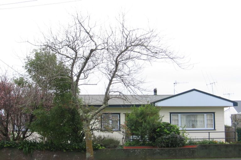 Photo of property in 38 Mckenzie Street, Levin, 5510