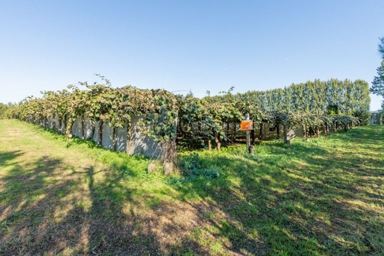 Photo of property in 69 Prole Road, Omokoroa, Tauranga, 3172