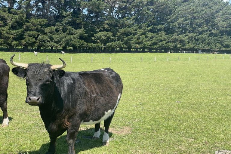 Photo of property in 30 Taylor East, Makarewa, Invercargill, 9876