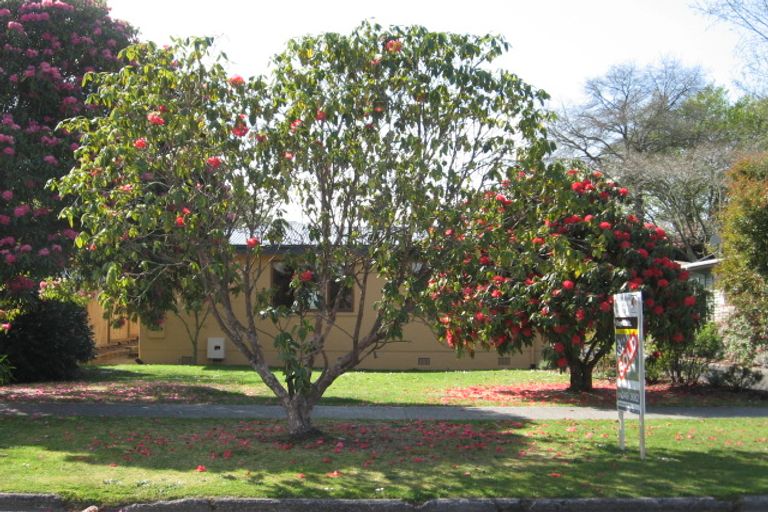 Photo of property in 41 High Street, Glenholme, Rotorua, 3010