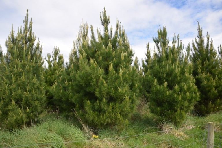 Photo of property in 150a Lorne Dacre Road, Lorneville, Invercargill, 9876