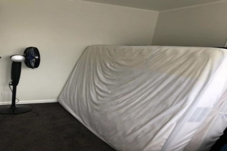 Photo of property in 28 Bond Street, Hamilton East, Hamilton, 3216