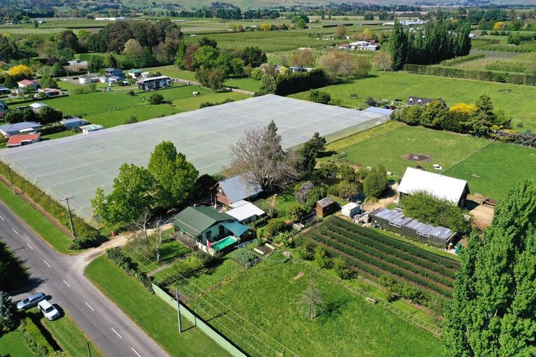 Photo of property in 82 Tollemache Road East, Longlands, Hastings, 4122